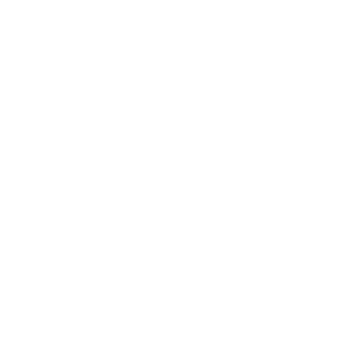 Security