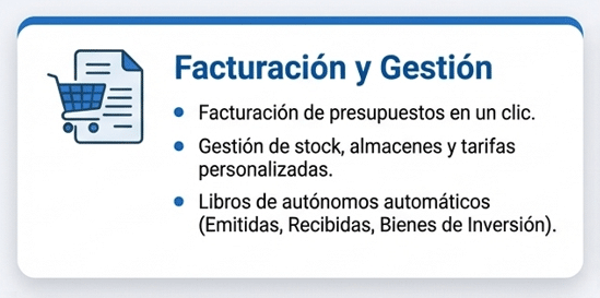 facturacion y gestion